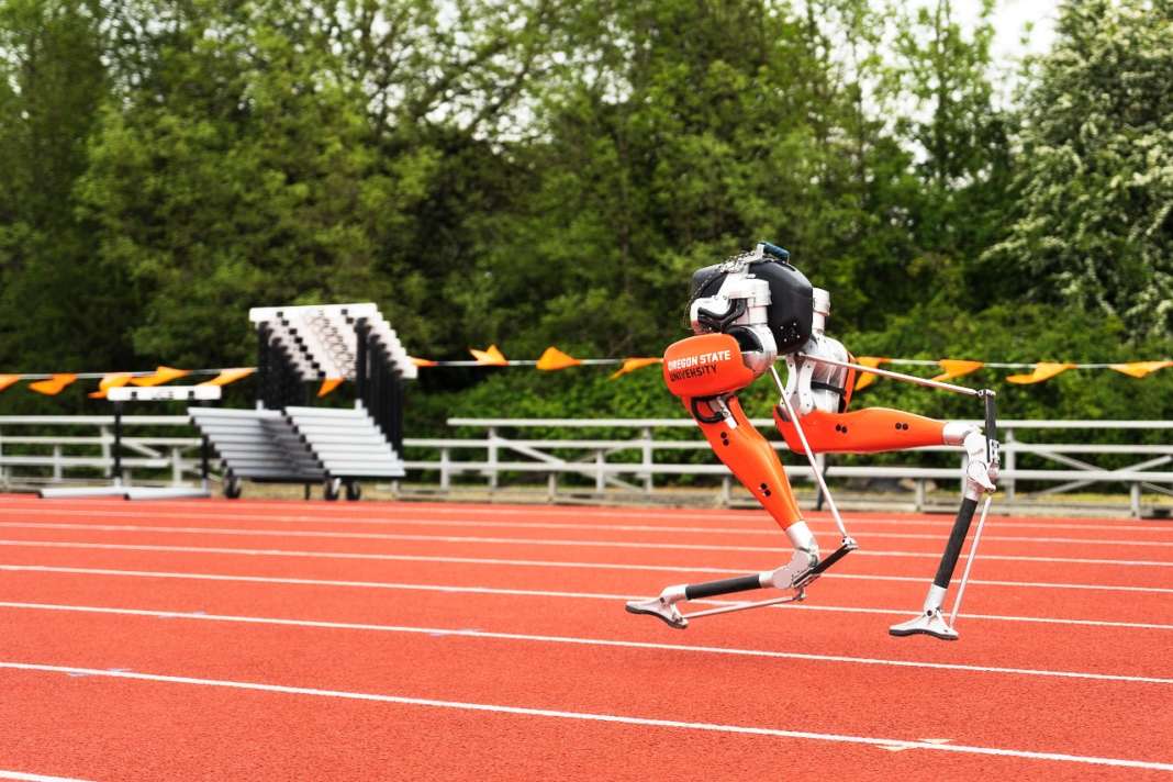 Il robot bipede Cassie corre i 100 m