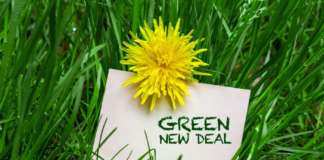 New green deal